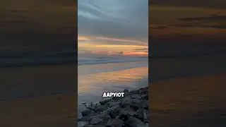 Прогноз на осень 2024