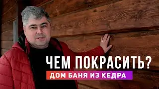 Чем покрасить дом баню из кедра?
