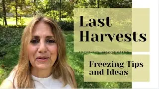 Last Harvests: Freezing the Harvest Tips and Ideas