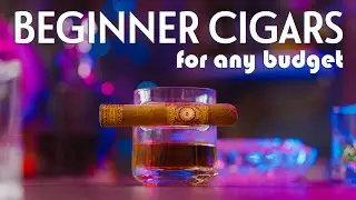 Best Cigars for Beginners - Perdomo, Arturo Fuente, Rocky Patel, Padron, and Alec Bradley