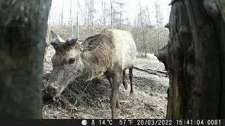 Fotopasca z Lidlu