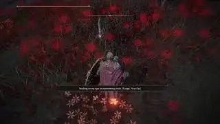 Elden Ring: Rings Sing