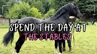 THE DOWNSIDE TO HAVING YOUR OWN STABLE YARD