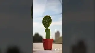 Мичуринцы