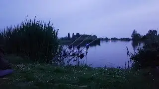 Karper run op het kanaal (fox rx)