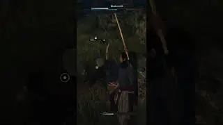 Rise of Ronin : Gameplay
