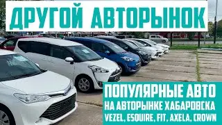 Авторынок в Хабаровске на Выборгской | Тойота Эсквайр, Хонда Везель, Кроун. Актуальные цены 31.08.21