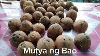 MUTYA ng Bao