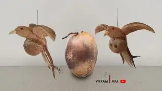 How to make an amazing Bird from coconut / coconut shell craft