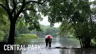 Central Park Heavy Rain Walk | Rain Sounds on Umbrella | 4K