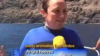 El Gran Tiburón Blanco de Isla Guadalupe 3-7