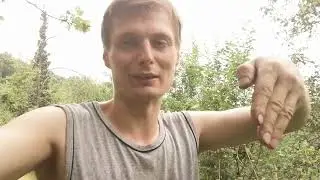 полив из пластиковой трубы