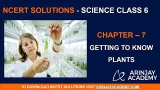 NCERT Solutions for Class 6 Science Chapter 7 Getting to Know Plants