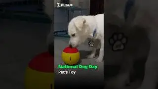 3D-printed dog toy ! Who’s ready for a game of fetch? 🎾 #flsunprinter #flsun #dogday