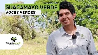 Voces Verdes Entrevista a Abel Rodriguez -  Ara Panama