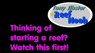 Thinking about starting a reef aquarium? Watch this first!