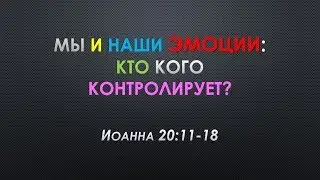 Мы и наши эмоции: кто кого контролирует