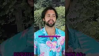 The Vine That Ate The South | Part 2 #shorts