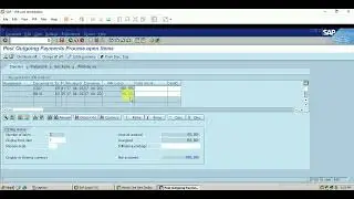 #31. PARTIAL & RESIDUAL PAYMENT IN SAP FICO (LEARN & EDUCATE)