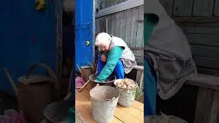 бабуля Павлова Ольга Васильевна ,94 года. помогает сажать картошку