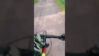 1 сентября 2024 г.