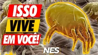 isso está no SEU ROSTO AGORA! (e você não vê) | Nem EU Sabia N.E.S