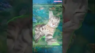 Это основа .. 