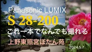 【Panasonic LUMIX S 28-200mm F4-7.1 Macro O.I.S.で撮る②】上野東照宮ぼたん苑