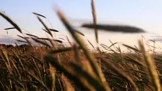 Красота природы
