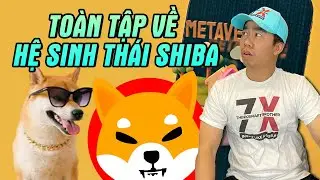Shiba Inu là gì? Toàn tập về Shiba Inu 2022 | 12 tiềm năng về dự án Shiba | Thinksmart Brother