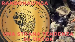 Randonautica: Una "strana" tendenza su TikTok | Creepy Moment