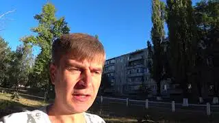 Павловния из корневых черенков вырощенная на подоконниках.  Короткий обзор результатов