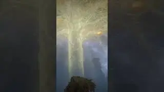 oooh great Erdtree