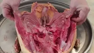Мускусные утки.Сушим мясо на зиму.