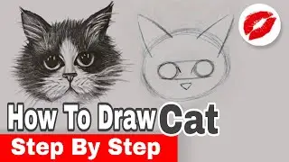 How to draw a cat [ 9 Steps ] Cute Easy Cat drawing tutorial : Basics, Shading, Details ✏️