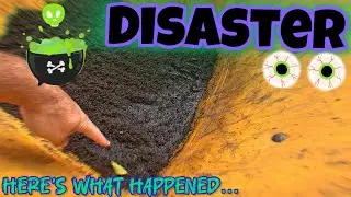 Why My JG Bluegrass Pre-Germ FAILED!