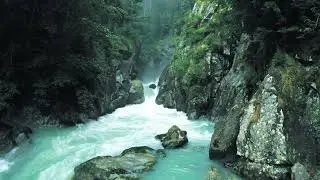 Relaxing Zen Music with Water Sounds • Peaceful Ambience for Spa, Yoga and Relaxation || Stress free