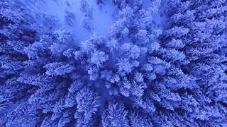 nature Video Kinemaster Edditing
