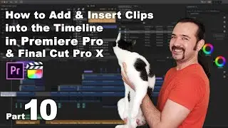How to Add  Clips into the Timeline in Premiere Pro & Final Cut Pro X وارد کردن کلیپ‌ها به تایم‌لاین
