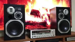 TELEFUNKEN & Pioneer 510, Demo for sale - 6