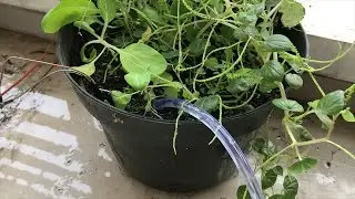 Automatic Plant Watering System Using Fuzzy Logic | Arduino Project