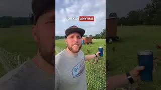 WHAT TO DO WITH AN AGGRESSIVE ROOSTER 