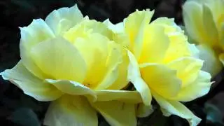 Слушать самую хорошую русскую музыку в тачку 2015