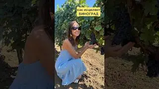 Польза и исцеление винограда #medicalmedium #виноград