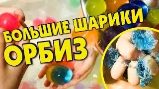 Купил огромные шарики ОРБИЗ! Выращиваем гидрогель