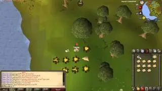 Train Woodcutting and Firemaking, FAST Experience! Runescape Ironman Guide!!