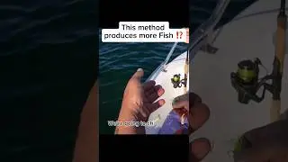 NEVER MISS a MACKEREL again! 🎣 #fishing #mackerelfishing #shorts