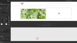 Overlay Link
