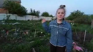 Начинающий блогер 2...