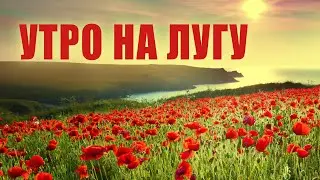 Лучшая расслабляющая музыка и видео для отдыха🌿Видео для снятия усталости🌿